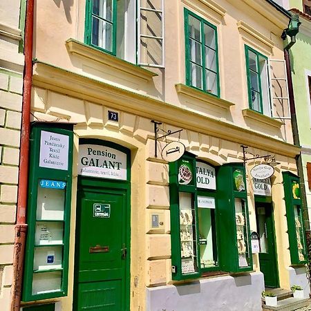 Apartman Galant Czeski Krumlow Zewnętrze zdjęcie