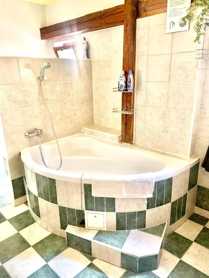 Apartman Galant Czeski Krumlow Zewnętrze zdjęcie