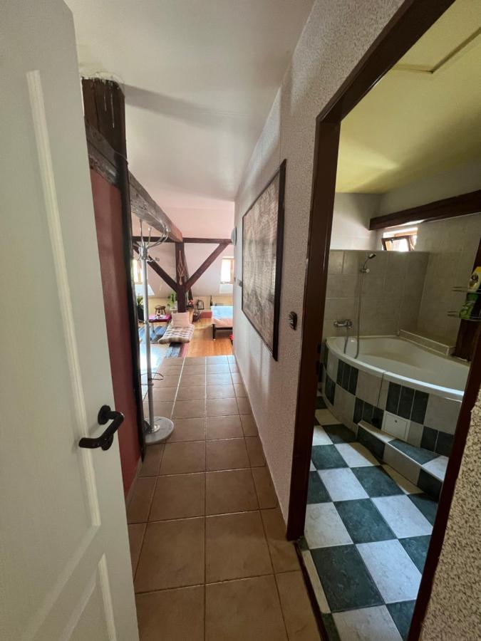 Apartman Galant Czeski Krumlow Zewnętrze zdjęcie